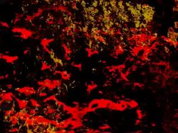 GALACTIC MARKERS : black back (TRANSITION) Stock Footage