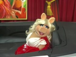 Miss Piggy at the The World Premiere of Walt Disney's 'The Muppets' at Hollywood CA. (Footage by WireImage Video/Getty Images Entertainment Video) Stock Footage