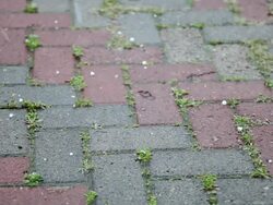 Hail falling Stock Footage