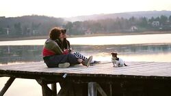 A loving couple kissing with the puppy on a dock Stock Footage