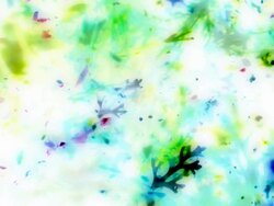 ABSTRACT NATURE CLOSE-UP : MULTI COLORED. slow expanding flow (loop) Stock Footage