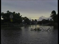 Cleanup after hurricane hits region News Clip