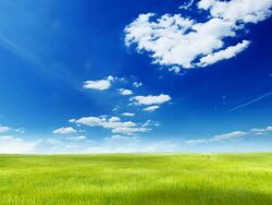 Summer landscape Stock Footage