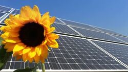 Solar Panel /sunflower in the wind Stock Footage