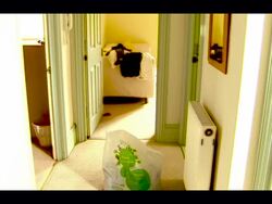 Public Misled by Charity Collection Bags News Clip