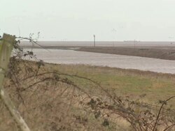 Low Water Level & River Stock Shots News Clip