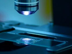 Scientist and bio lab experiment Stock Footage