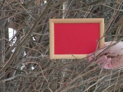 HD: Message Board In The Nature Stock Footage