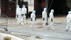 CLEAN: Hong Kong culls chickens to battle bird flu News Clip