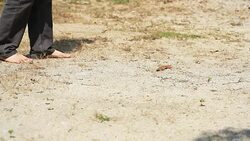 Walk on floor Stock Footage