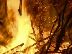Bonfire Stock Footage