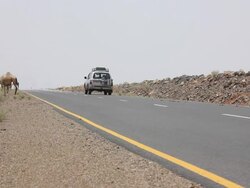 Car riding through road and a camel by te side of it Stock Footage