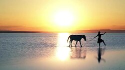 walking on the water Stock Footage