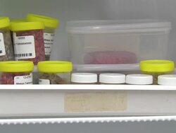 Meat Samples - Food Control Laboratory News Clip