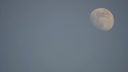 Moon at sunset News Clip