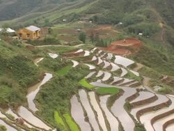 MS, ZO, HA, Vietnam, Sapa, Terraced fields Stock Footage