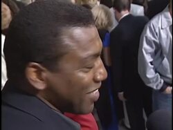 Premiere of 'The In-Laws' Premiere Stock Footage