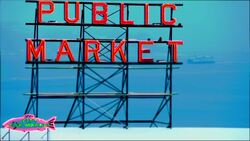 Birds perch on a sign identifying Seattle's Public Market. Stock Footage