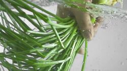 Fresh Scallions Splashing Into Water (Super Slow Motion) Stock Footage