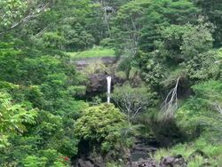 Hawaii state park Stock Footage