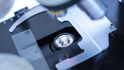 Researchers looking into a microscope Stock Footage