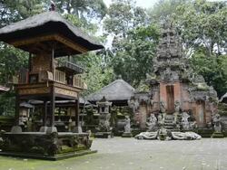 MS Macaque Monkey running at Pura Dalem Agung temple in Monkey Forest / Ubud, Bali, Indonesia Stock Footage