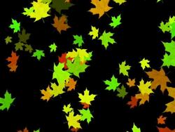 Autumn leaf. ALPHA Stock Footage