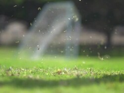A man playing soccer on a grassy field. - Slow Motion - filmed at 240 fps Stock Footage