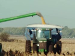 A tractor and wagon drive toward camera as an auger dumps harvested corn. Stock Footage