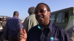 Lions collared to help stop human animal conflict News Clip