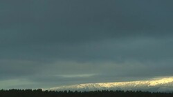 Low clouds gather over an evergreen forest. Stock Footage