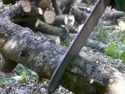 Cutting log with chainsaw Stock Footage
