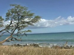 Maui Shore V.3 Stock Footage