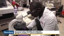 Eli Lilly CEO Ready to Put $9 Billion in Cash to Work News Clip