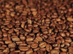 Coffee Bean rotation Stock Footage