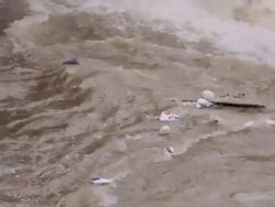 MS TU View of dirty river / Surabaya, East Java, Indonesia Stock Footage