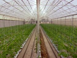 MS Shot of glass house / Minneapolis, Minnesota, United States Stock Footage