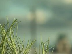 Medium Long Shot_rack-focus static - Long grasses frame a air traffic control tower.   Stock Footage