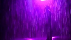 CLEAN : Visitors bathed in Purple Rain in Prince tribute at LA museum News Clip
