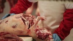 Butcher. Stock Footage