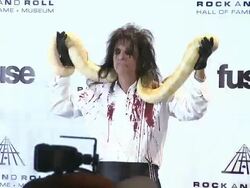 WireImage Daily 3/16/11 - Spanish Version Stock Footage