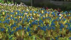 VOICED : Extranjeros en el sambodromo de Rio News Clip