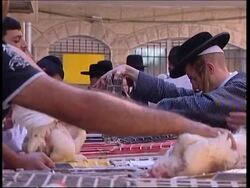 Preps for Jewish Day of Atonement News Clip