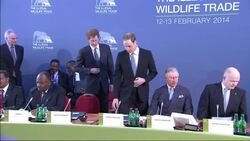 UK FM, Prince Charles host summit to discuss ways to end illegal wildlife trade Instructional Video