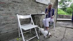 Woman with dog in cafe Stock Footage
