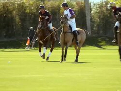 LS SLO MO polo players chasing ball as player rides his horse alongside in order to move an opponent away from the ball or to take him out of a play but opponent manages to strike the ball which flies forward  / Indio, California, USA  Stock Footage