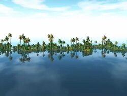 Text - Vacation Stock Footage