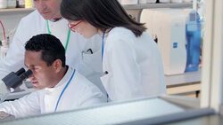 Scientists watching colleague use microscope in laboratory Stock Footage