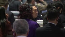 Italian finance minister comments on Europe financial crisis News Clip