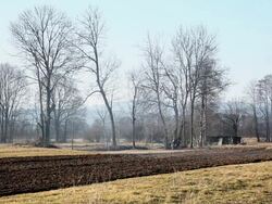 HD - Cultivated Field With Smoke Rolling Over Stock Footage